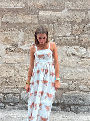 STEER BETSEY DRESS